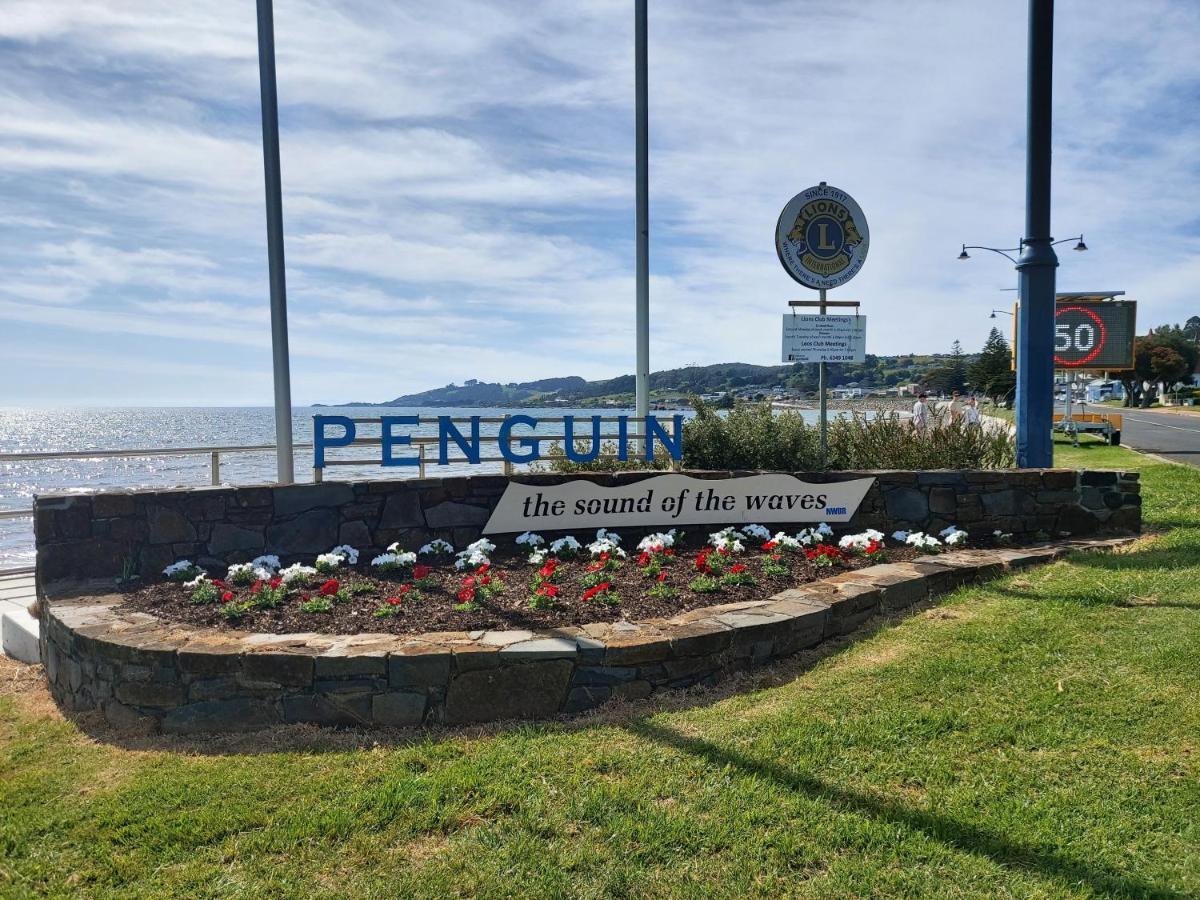Empty Nest Penguin